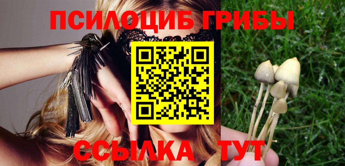 Мичуринск  Галлюциногенные грибы Psilocybe  Вход с VPN  Галлюциногенные грибы GOLDEN TEACHER 